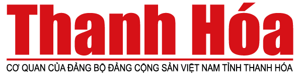 13+ địa chỉ nối mi TP.HCM được chị em yêu thích nhất 17 bao thanh hoa