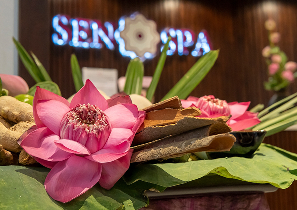 Top 14+ Best Massage Experiences in Saigon: Discover the Best Spa Treatments 28 Sen Spa – Chăm Sóc Sức Khỏe Toàn Diện