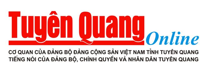 Top 14+ Best Head Spa for Relaxing Hair Wash & Scalp Care in Ho Chi Minh City 88 bao tuyen quang e1744190996329