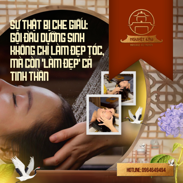 Khám Phá Top 20 Tiệm Gội Đầu Dưỡng Sinh HCM Thư Giãn Gần Đây Nhất 20 Gội đầu dưỡng sinh có tác dụng gì đối với sức khỏe & sắc đẹp?